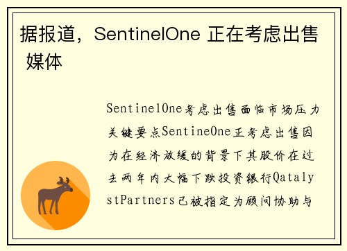 据报道，SentinelOne 正在考虑出售 媒体