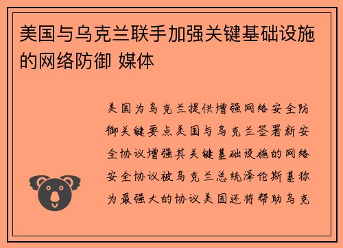美国与乌克兰联手加强关键基础设施的网络防御 媒体